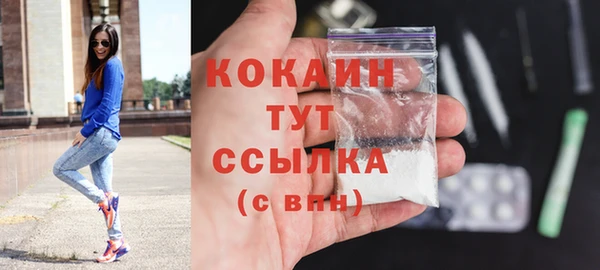 прущие грибы Горнозаводск