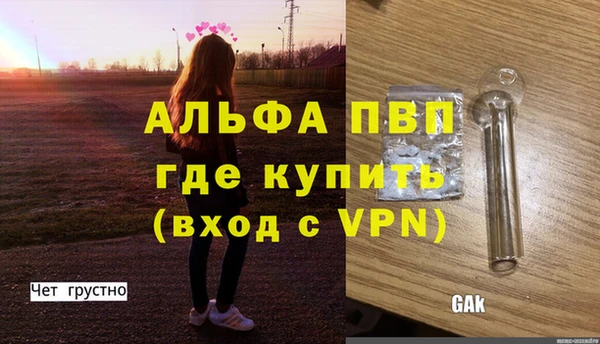 стаф Волоколамск