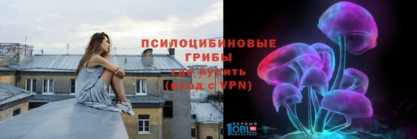 стаф Волоколамск