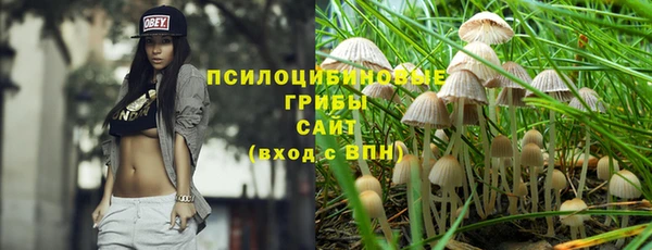 стаф Волоколамск